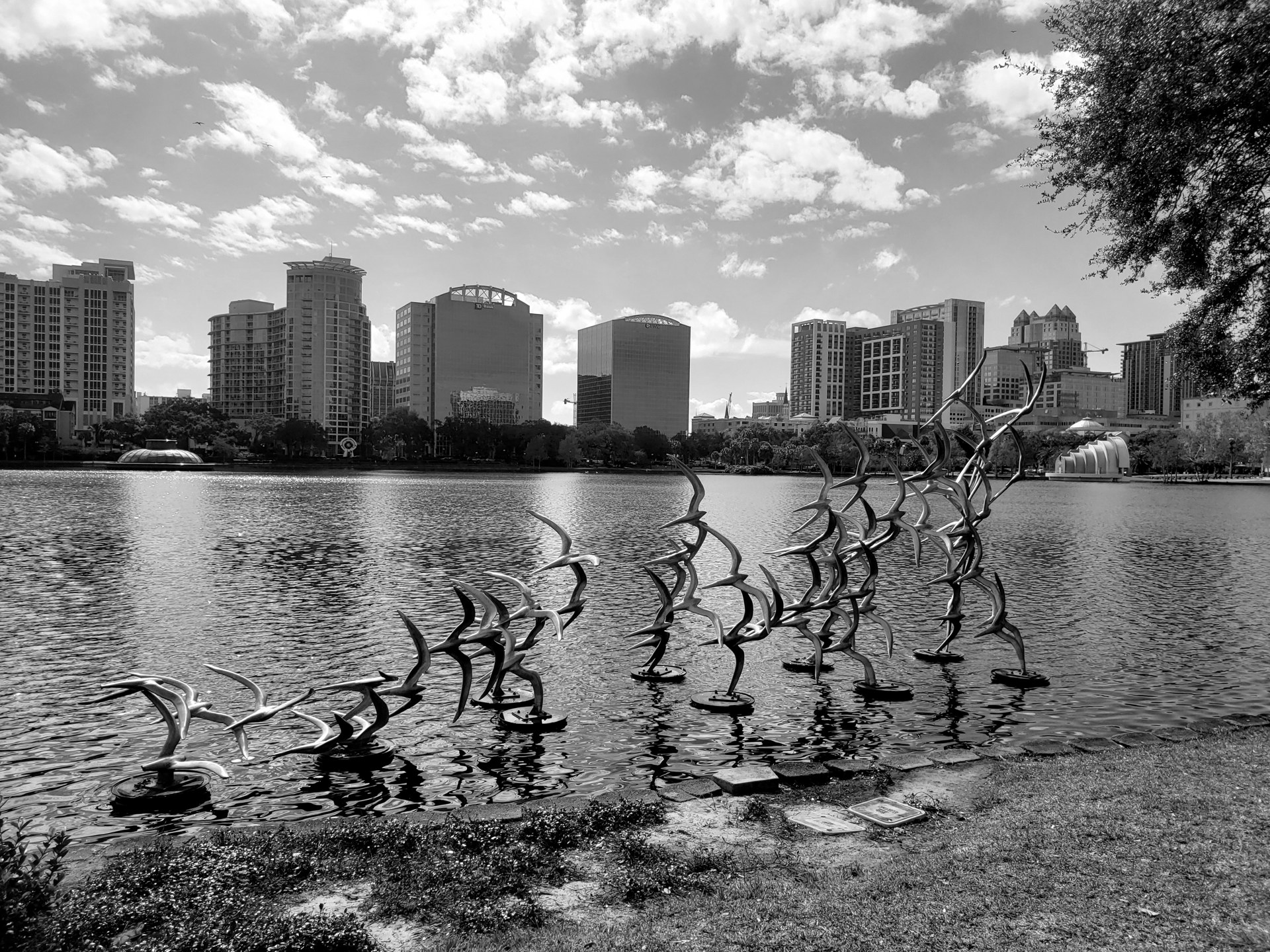 Orlando skyline at Lake Eola